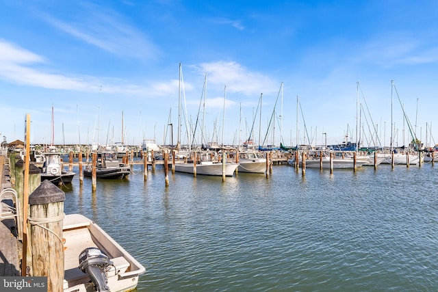 dock area with a water view