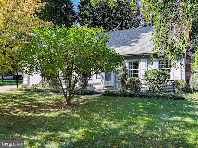 obstructed view of property with a front lawn