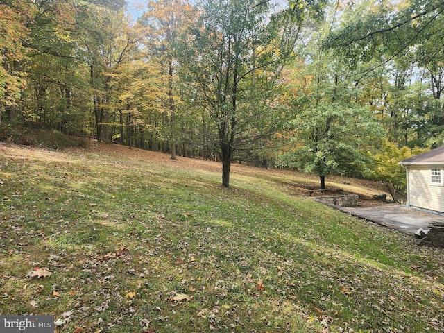 view of yard featuring a patio