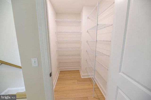 spacious closet featuring light wood-type flooring