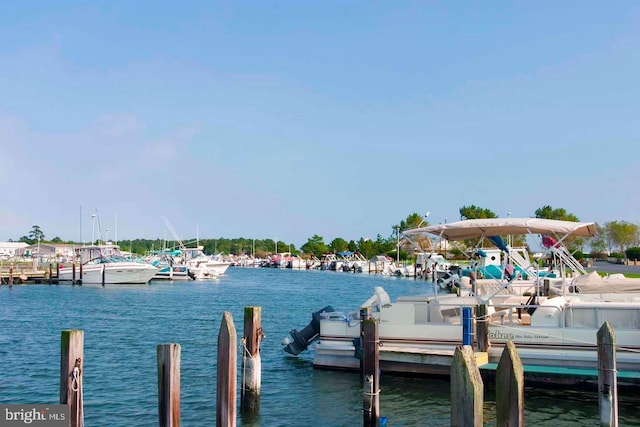 dock area with a water view