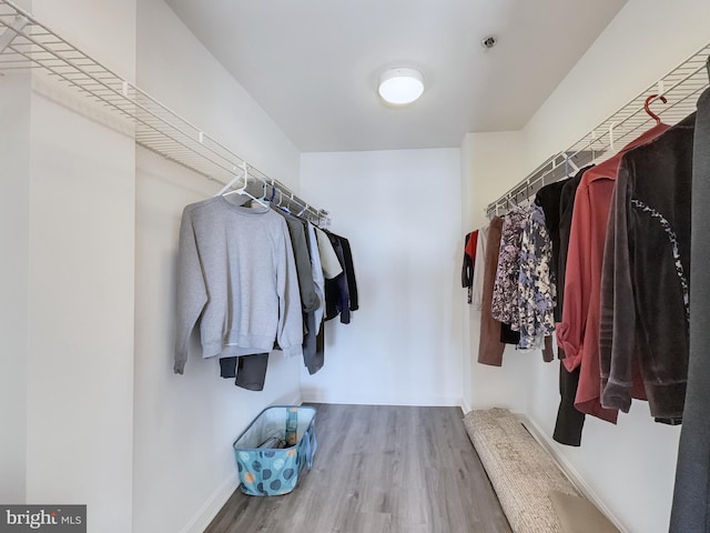 walk in closet featuring wood-type flooring