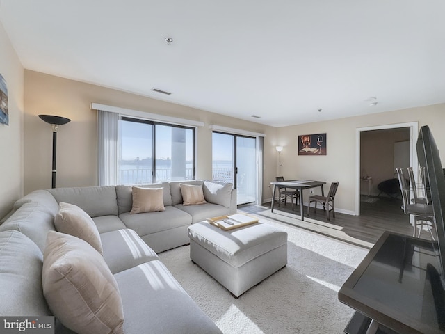 living room featuring light hardwood / wood-style floors