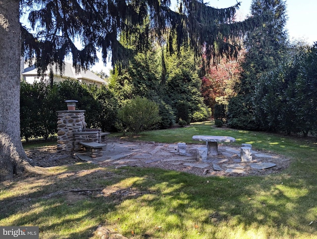 view of yard with a patio and an outdoor stone fireplace