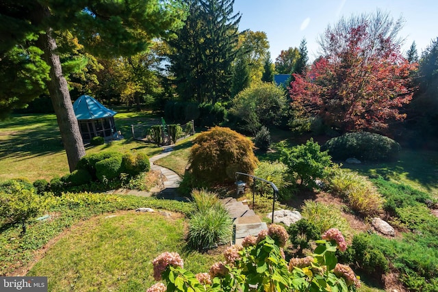 view of home's community featuring a yard