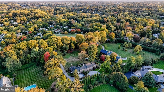 aerial view