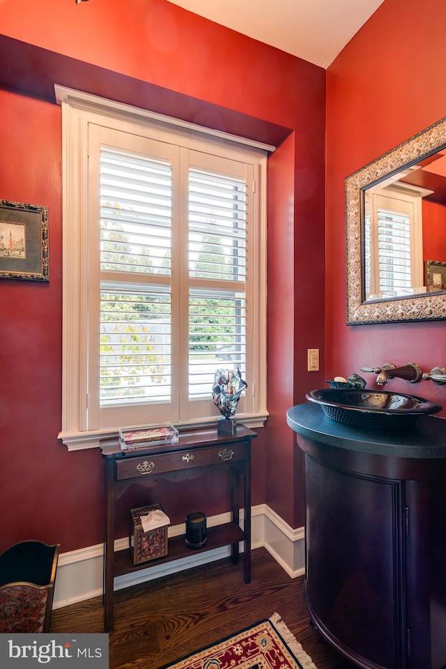 bathroom with hardwood / wood-style floors