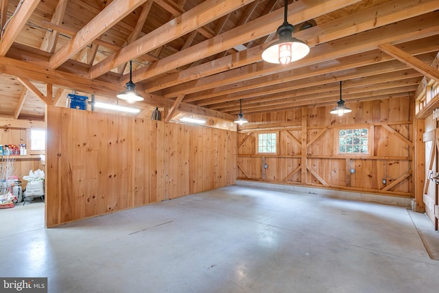 basement featuring wooden walls and plenty of natural light