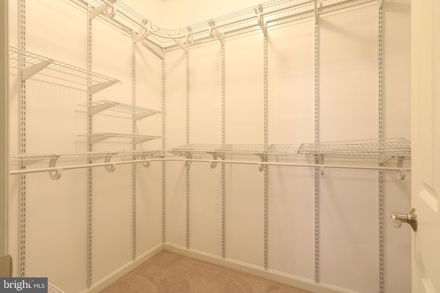 spacious closet with carpet