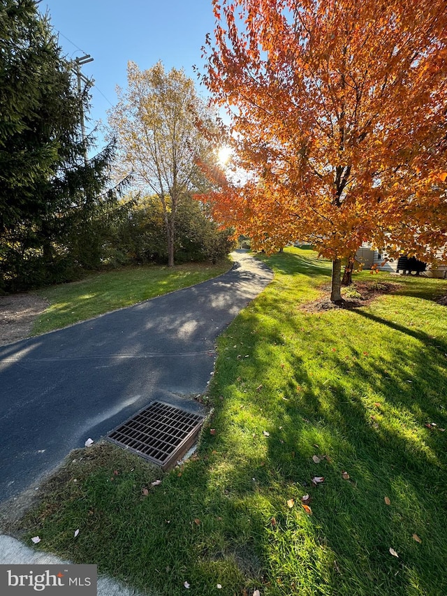 view of road