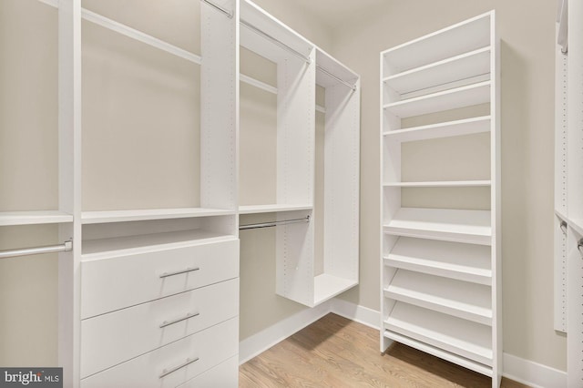 spacious closet with hardwood / wood-style floors