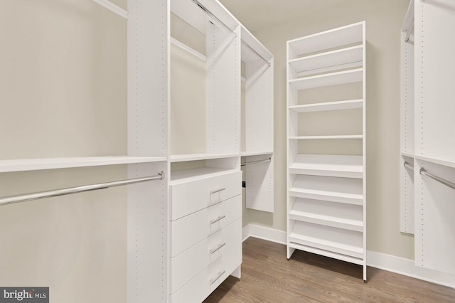 spacious closet with wood-type flooring