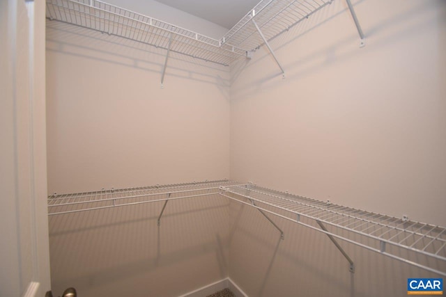 view of spacious closet