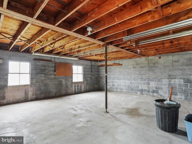 basement with a wealth of natural light