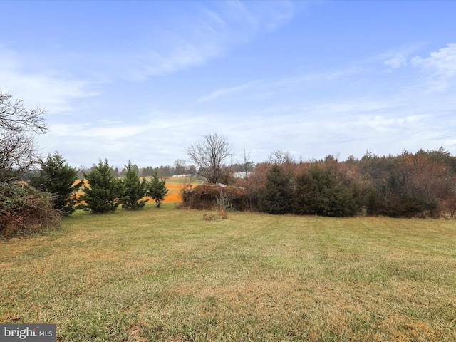 view of yard with a rural view