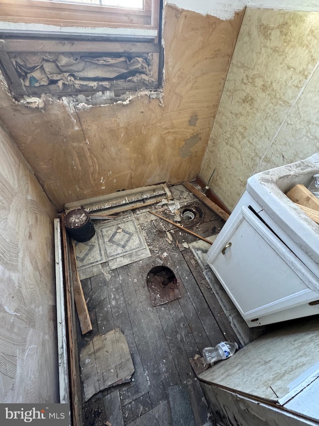 bathroom featuring hardwood / wood-style flooring