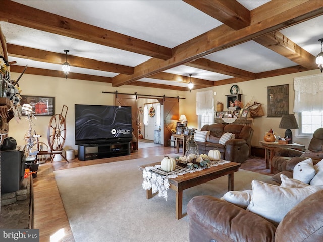 living room featuring a barn door, light hardwood / wood-style floors, and beam ceiling