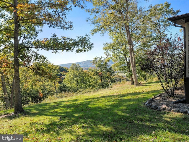 view of yard with a mountain view