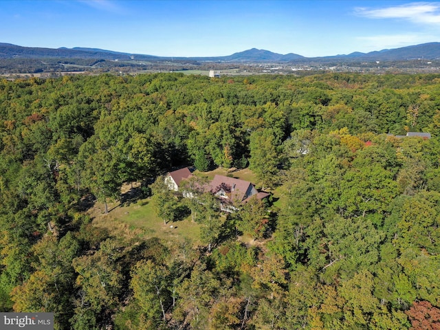 bird's eye view featuring a mountain view