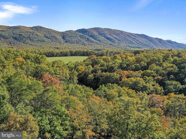 property view of mountains