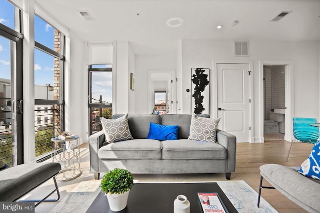 living room with light hardwood / wood-style flooring