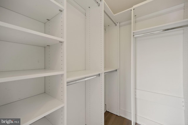 walk in closet with dark wood-type flooring