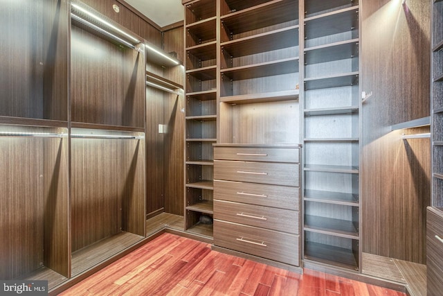 walk in closet featuring hardwood / wood-style flooring