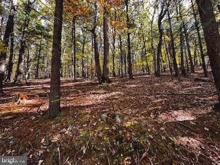 Lower Arkansas Rd, Baker WV, 26801 land for sale