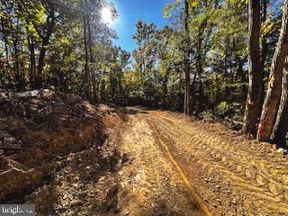 Lower Arkansas Rd, Baker, WV 26801