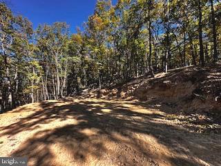 Lower Arkansas Rd, Baker, WV 26801