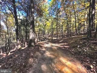 Lower Arkansas Rd, Baker, WV 26801