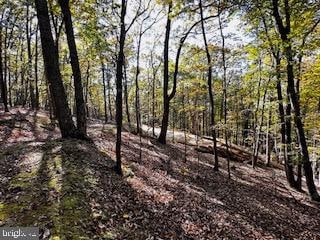 Listing photo 2 for Lower Arkansas Rd, Baker WV 26801