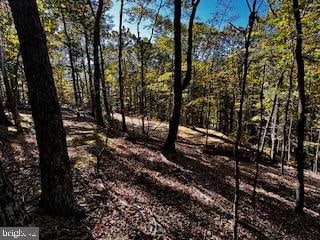 Listing photo 3 for Lower Arkansas Rd, Baker WV 26801