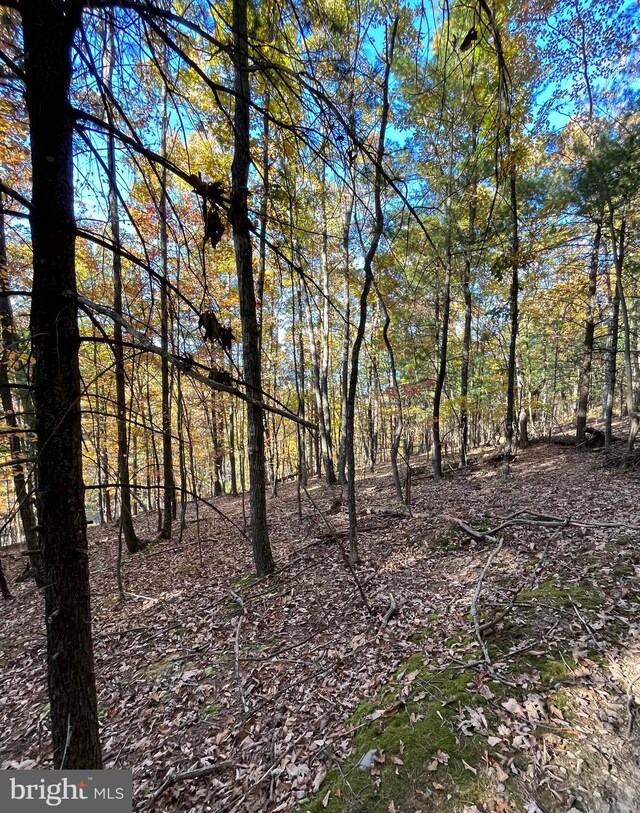 Lower Arkansas Rd, Baker, WV 26801