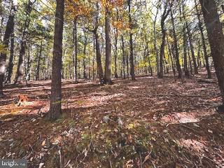 Lower Arkansas Rd, Baker, WV 26801