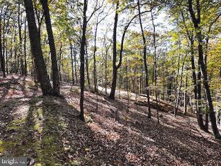 Lower Arkansas Rd, Baker, WV 26801