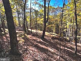Lower Arkansas Rd, Baker, WV 26801