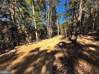 Lower Arkansas Rd, Baker, WV 26801