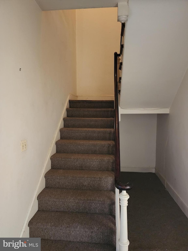 stairway featuring carpet