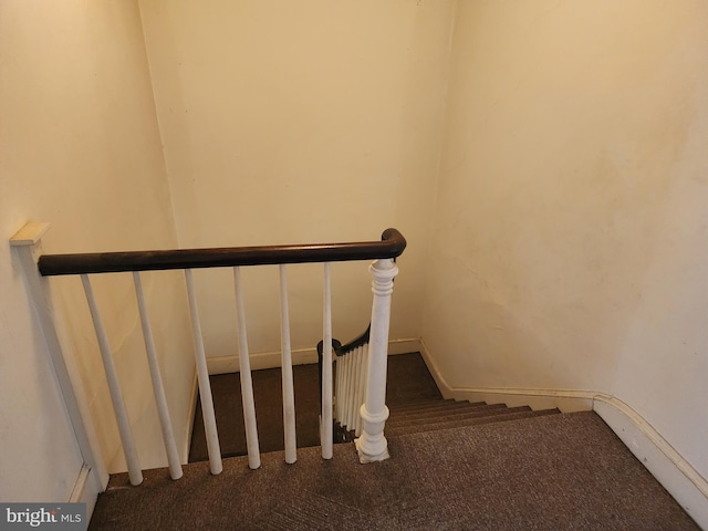 stairway featuring carpet floors