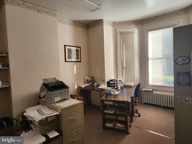 office featuring radiator and carpet floors