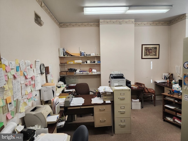 303 Washington St, Cumberland, MD 21502 - office space with carpet floors