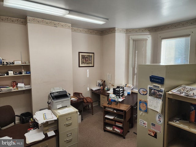 303 Washington St, Cumberland, MD 21502 - view of carpeted home office