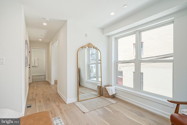 interior space featuring light hardwood / wood-style floors and a wealth of natural light