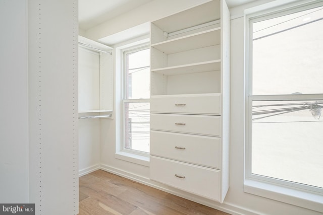 walk in closet featuring light hardwood / wood-style flooring