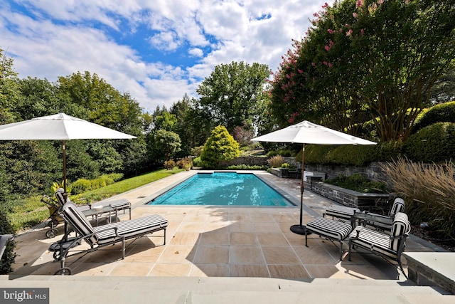 view of pool with a patio