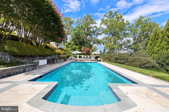 view of swimming pool featuring a patio