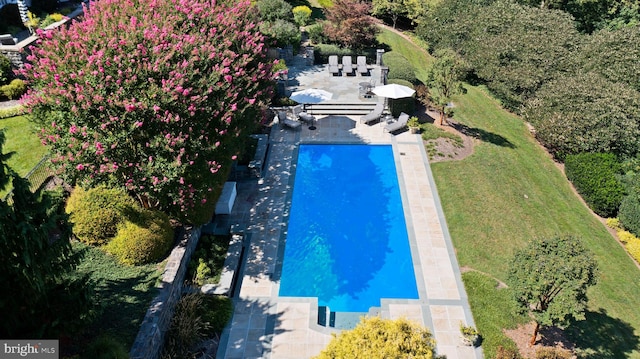 view of pool with a patio and a lawn