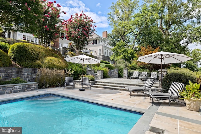 view of pool featuring a patio