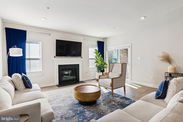 living room with a wealth of natural light and wood-type flooring